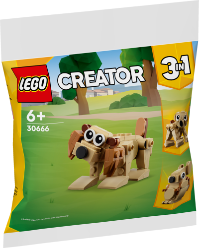 LEGO® Creator 30666 Les animaux surprise