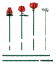 LEGO® Botanicals 10328 Kytice růží