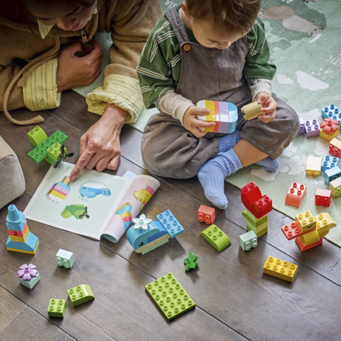 LEGO® DUPLO® 10479 Színpompás, kreatív csomag