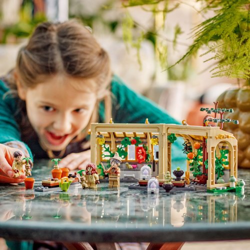 LEGO Harry Potter 76445 Bradavický hrad: Hodina bylinkářství