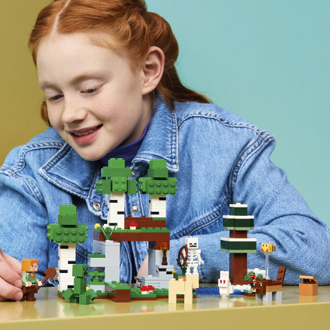 LEGO® Minecraft 21593 Avventura della prima notte