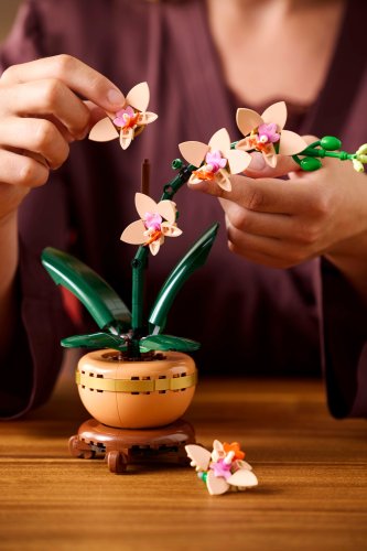 LEGO® Botanicals 10343 L’orchidée miniature
