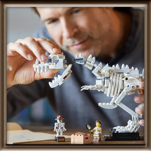 LEGO® Ideas 21320 Les fossiles de dinosaures