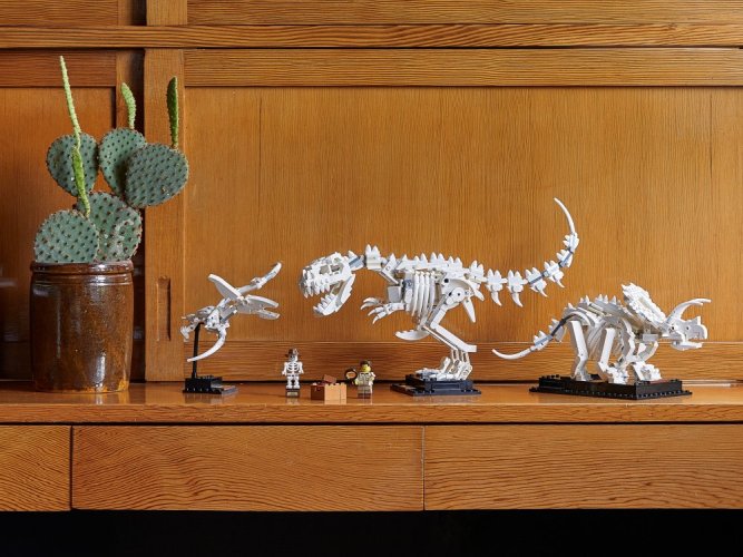 LEGO® Ideas 21320 Les fossiles de dinosaures