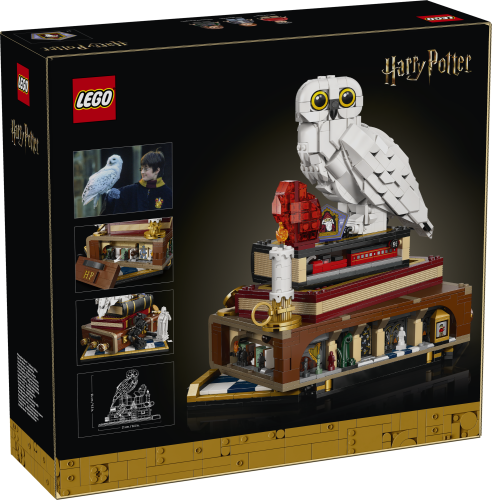 LEGO® Harry Potter TM 76466 Pietra filosofale – Edizione del collezionista