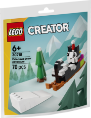 LEGO® Creator 30718 Cataclaws Snow Adventure