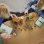LEGO® Minecraft 21596 Angriff des Magiers auf das Dorf