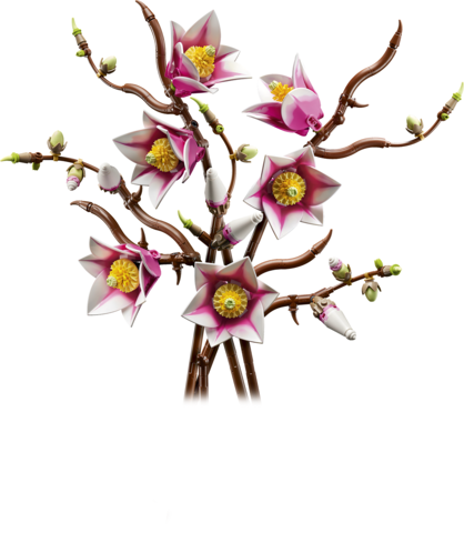 LEGO® Botanicals 11510 Ramos de Magnólia