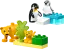 LEGO® DUPLO® 10442 Famiglie di animali: pinguini e leoni