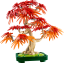 LEGO® Botanicals 10348 Bonsaj – Japonský červený javor