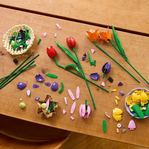 LEGO® Botanicals 11501 Buquê de Tulipas