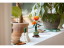 LEGO® Botanicals 10368 Chryzantema