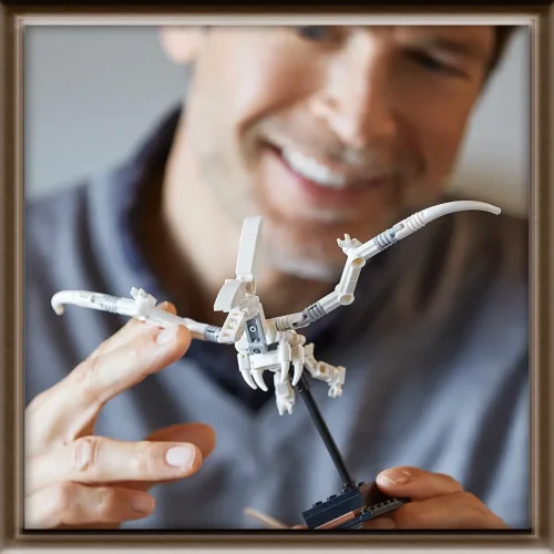 LEGO® Ideas 21320 Les fossiles de dinosaures