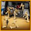 LEGO® Star Wars TM 75435 Le MTT™ des séparatistes de la bataille de Felucia