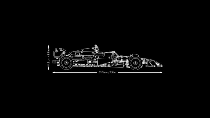 LEGO® Technic™ 42206 Oracle Red Bull Racing RB20 F1 Rennauto