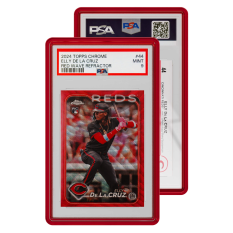Standard Case (PSA) - Ruby