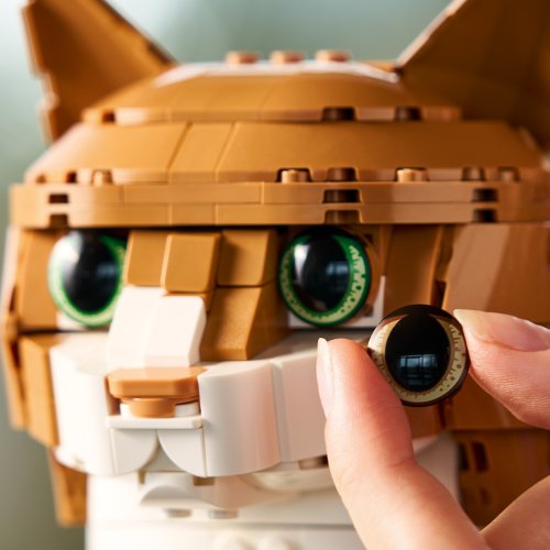 LEGO® Ideas 21376 Orangefarbene Katze