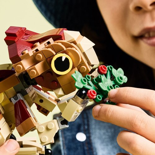 LEGO® Jurassic World 76970 Dinosaurie mláďa Dolores: Aquilops