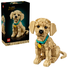 LEGO® Icons 11384 Golden Retriever Puppy