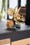 LEGO® Jurassic World™ 76969 Dinosaurier-Fossilien: Triceratops-Schädel