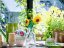 LEGO® Botanicals 40524 Tournesols