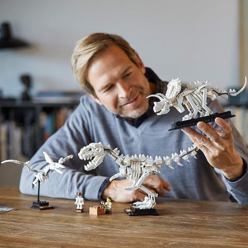 LEGO® Ideas 21320 Les fossiles de dinosaures