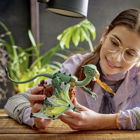 LEGO® Harry Potter TM 76477 Norbert : le bébé dragon de Hagrid