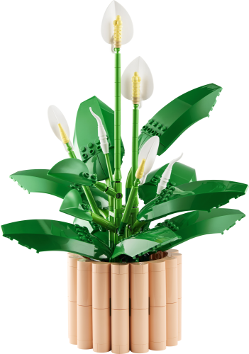 LEGO® Botanicals 11504 Les fleurs de lune