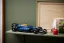 LEGO® Technic™ 42206 Oracle Red Bull Racing RB20 F1 Rennauto