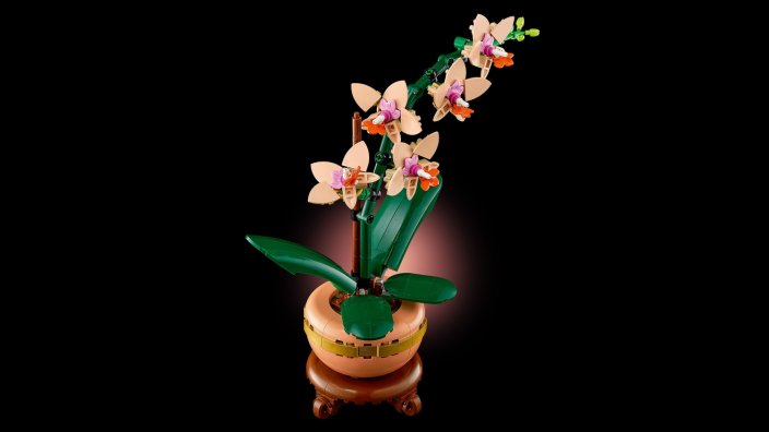 LEGO® Botanicals 10343 L’orchidée miniature