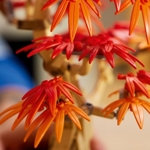 LEGO® Botanicals 10348 Bonsaj – Japonský červený javor