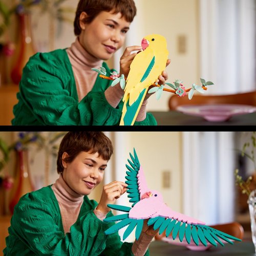 LEGO® Art 31211 Die Fauna Kollektion - Aras