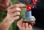LEGO® Botanicals 10369 Les fleurs de prunier