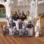 LEGO® Icons 11377 Le Seigneur des Anneaux : Minas Tirith™
