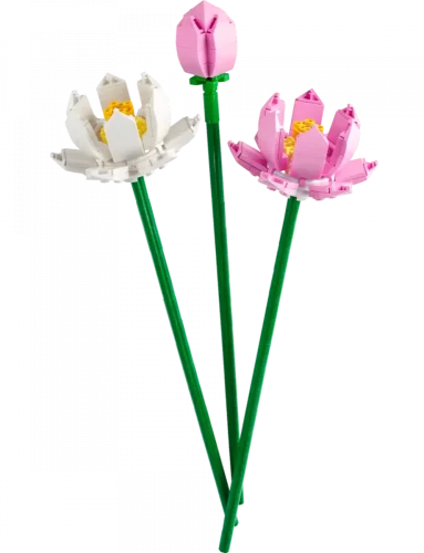 LEGO® Botanicals 40647 Fiori di loto