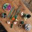 LEGO® Botanicals 10280 Bouquet de fleurs