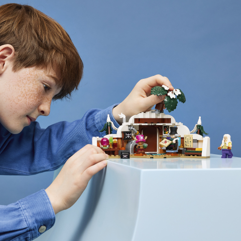 LEGO® ONE PIECE 75641 Esconderijo do Dr. Hiriluk