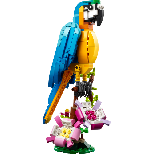 LEGO® Creator 3-en-1 31136 Le perroquet exotique