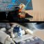 LEGO® Star Wars™ 75355 X-Wing Starfighter™