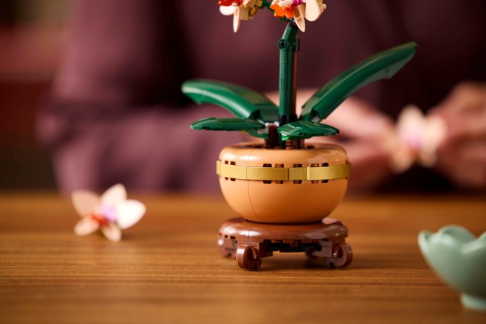 LEGO® Botanicals 10343 L’orchidée miniature