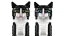 LEGO® Ideas 21349 Le chat bicolore