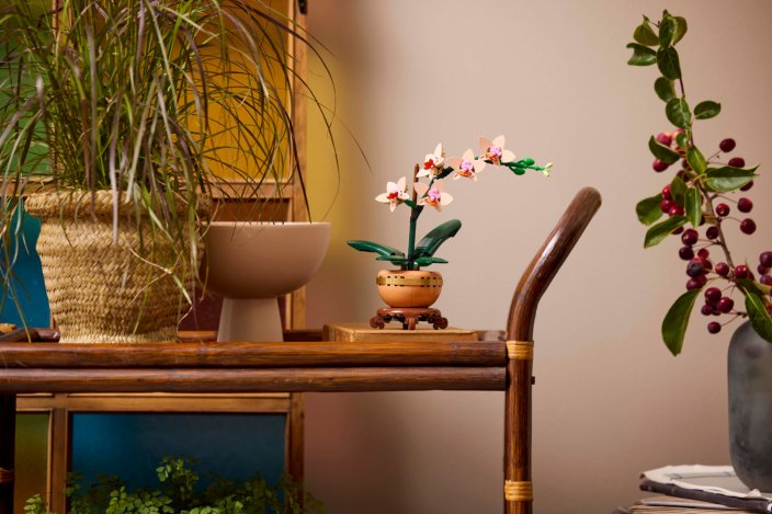 LEGO® Botanicals 10343 L’orchidée miniature