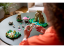 LEGO® 77092 The Legend of Zelda™ Deku-Baum 2-in-1