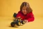 LEGO® Technic™ 42199 Pull-back Monster Jam™ DIGatron™