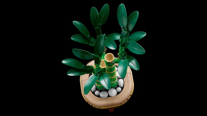 LEGO® Botanicals 10344 Bambù del buon auspicio