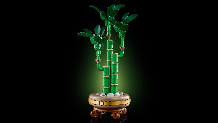 LEGO® Botanicals 10344 Bambù del buon auspicio
