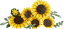 LEGO® Botanicals 11502 Bouquet di girasoli