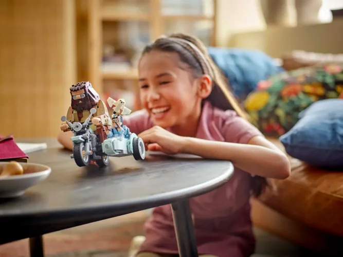 LEGO® Harry Potter™ 76443 La balade en moto de Hagrid™ et Harry