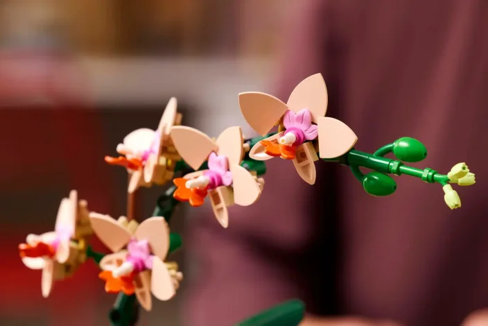 LEGO® Botanicals 10343 L’orchidée miniature