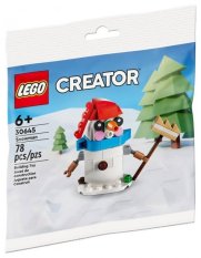 LEGO® Creator Expert 30645 Muñeco de Nieve